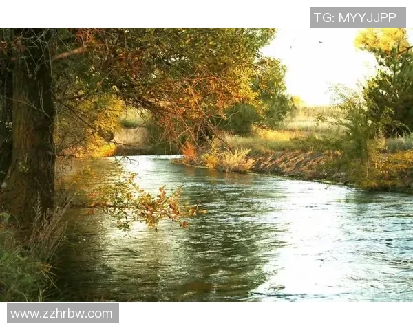 山形山神与内心的对话探索自我与自然的和谐之路